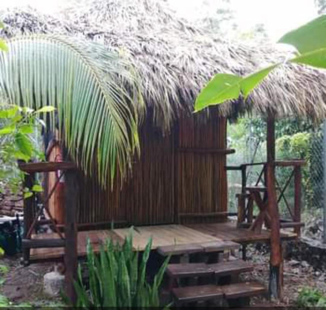 Malinche Cafe In Coba Tulum Apartment Room photo